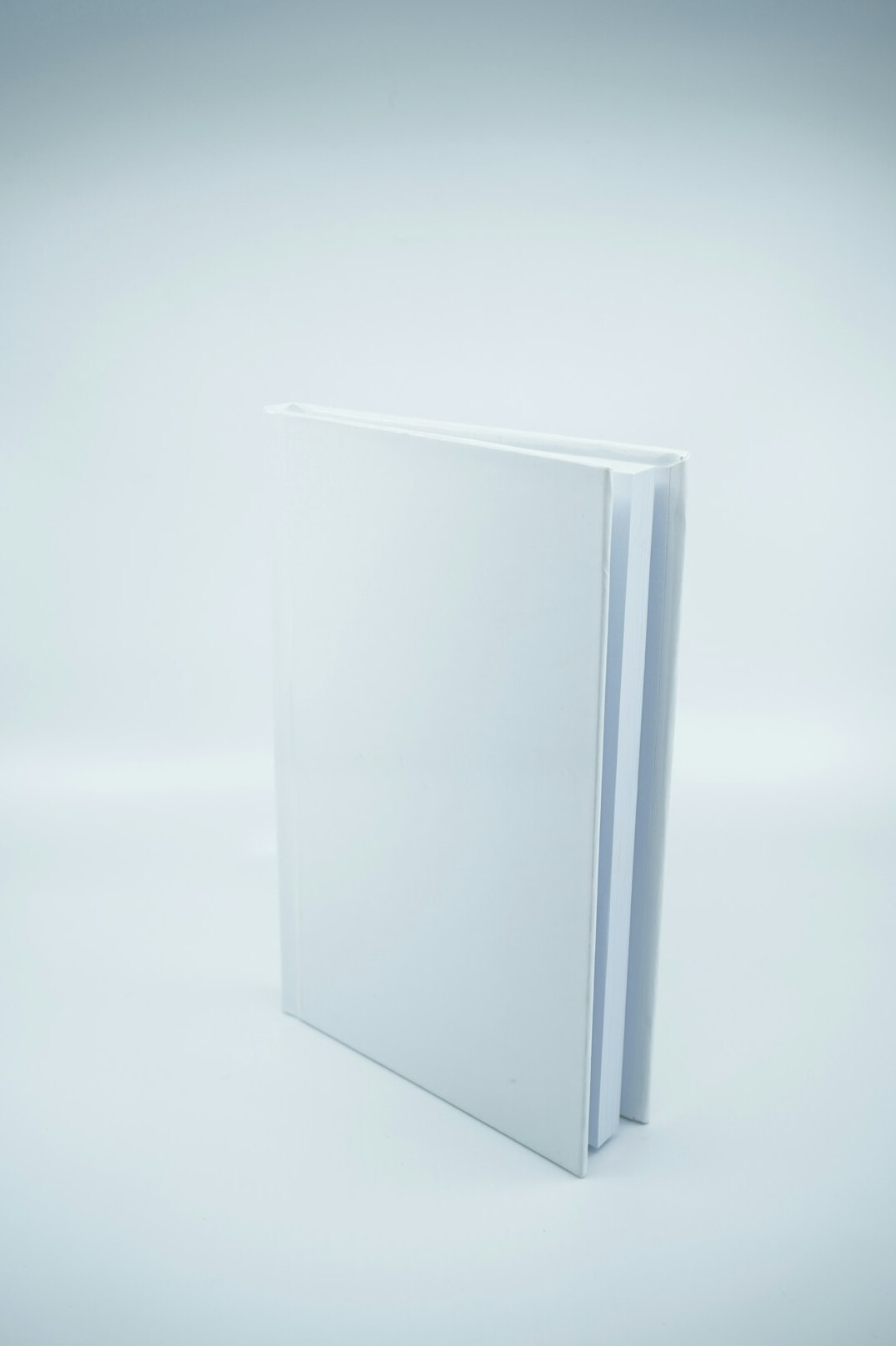 Hardcover book standing upright with a dark cover